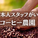 コナコーヒー農園　日本人スタッフ