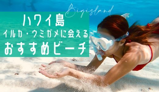 ハワイ島】レンタカーを使わずにハワイ島観光する方法|おすすめ交通