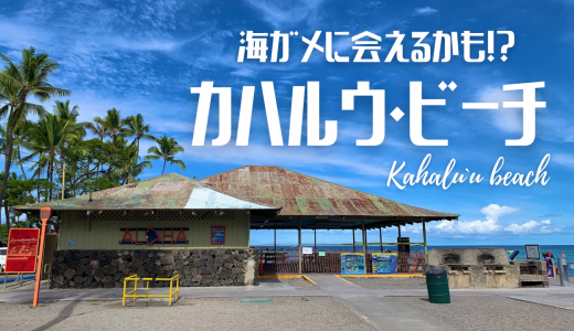 【ハワイ島】海ガメに会えるカハルウビーチ｜Kahaluʻu beach