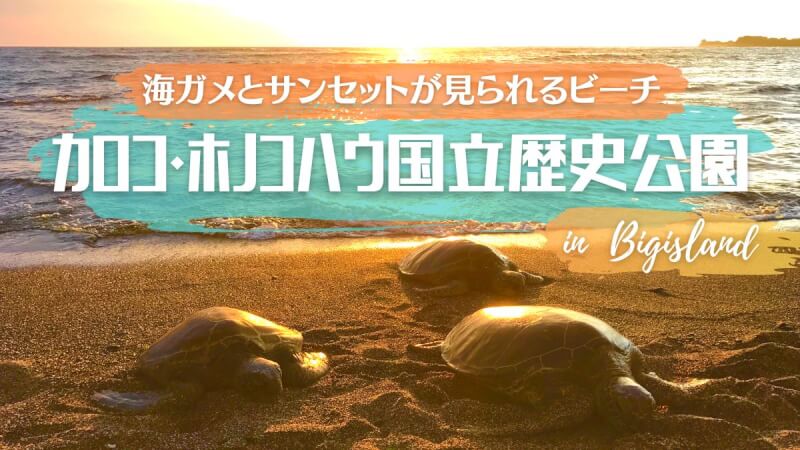 【ハワイ島コナ】海ガメと一緒にサンセットを見られるビーチ|カロコ・ホノコハウ国立歴史公園 mahaloha travel