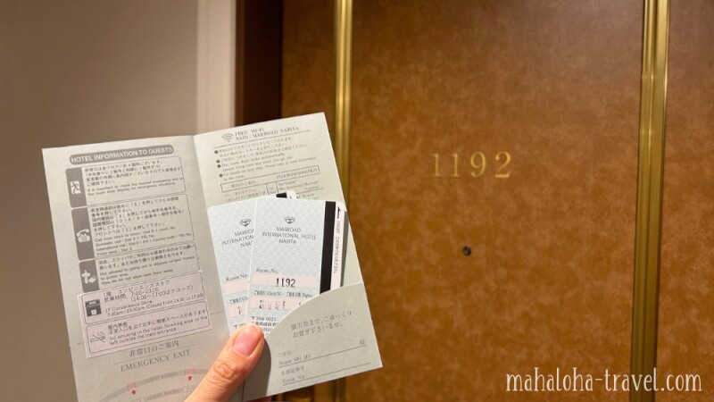 マロウド成田　飛行機