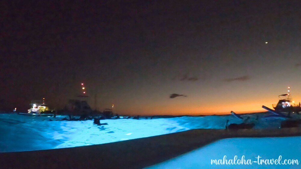 ハワイ島　マンタ　ツアー