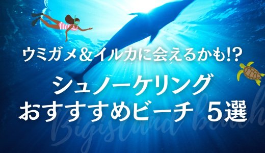 ハワイ島　シュノーケリング　ビーチ