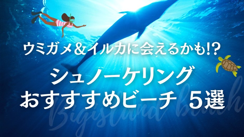 ハワイ島　シュノーケリング　ビーチ